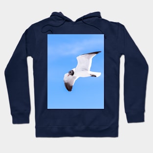 Laughing Gull Seagull and Blue Sky Hoodie